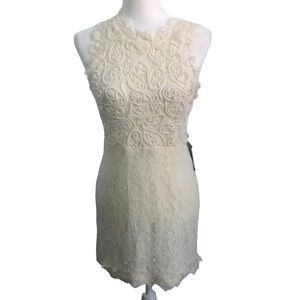 Lord & Taylor Design Lab Lace Dress Ivory Size Large NWT